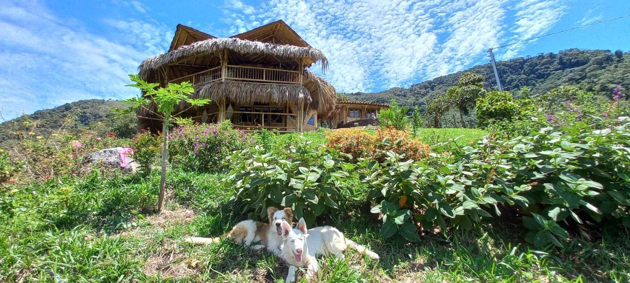 Ecohotel Soplo Del Tambo Cocorná Extérieur photo
